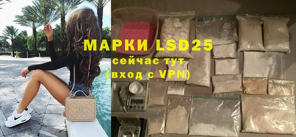 прущие грибы Пролетарск