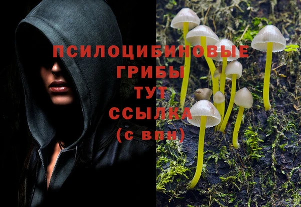 эйфоретик Приозерск