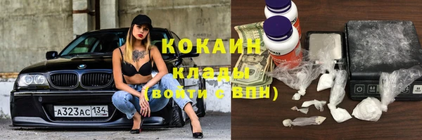 прущие крисы Абаза