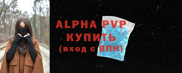 прущие грибы Абдулино