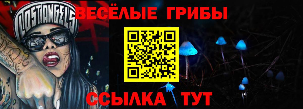 Карталы  Галлюциногенные грибы Psilocybe  Псилоцибиновые грибы Cubensis  Вход с VPN 